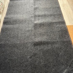 1畳用ホットカーペットの画像