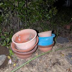 植木鉢・支柱の画像