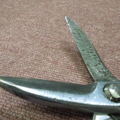 中古品 金切り鋏 板金鋏 種光 ステン用 柳刃 全長30cm 大工道具 ハンドツール レタパ可 札幌市 新道東店の画像