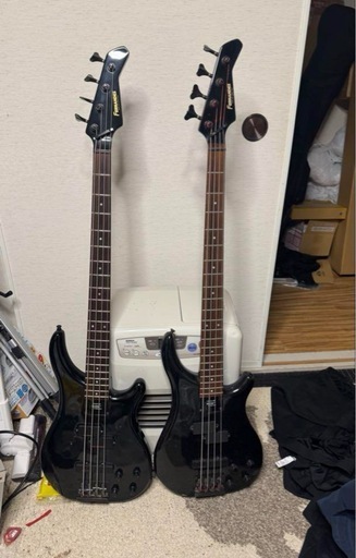 フェルナンデス ミディアム アクティブベース2本