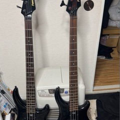 フェルナンデス ミディアム　アクティブベース2本の画像