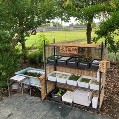 🌱水草無人販売所Open🌱　さいたま市岩槻区の画像