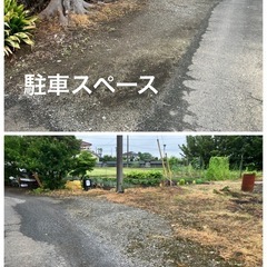 🌱水草無人販売所Open🌱　さいたま市岩槻区の画像