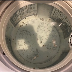 洗濯機　洗濯物の生乾き臭 雑巾臭 槽内カビ予防　4000円〜