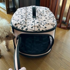 ペット　キャリーバッグの画像