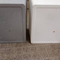 プラスチック製　ボックス　２個セットの画像