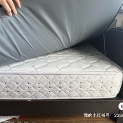 セミダブルベットの画像