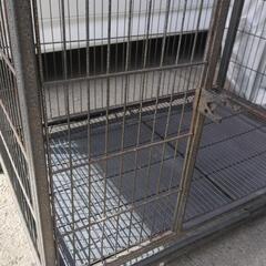 犬用　ゲージの画像