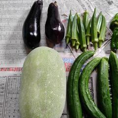 お野菜７点の画像