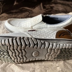 EDWINの画像