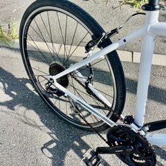 TREK FX 3 サイズL175 - 186 cm　年式2018-2019の画像