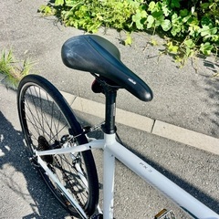 TREK FX 3 サイズL175 - 186 cm　年式2018-2019の画像
