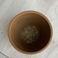 鉢大、小、水受けの画像