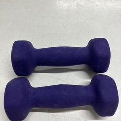 A2507-490  ダンベル 1kg×2 バラ売り不可 キズ 汚れありの画像