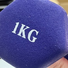 A2507-490  ダンベル 1kg×2 バラ売り不可 キズ 汚れありの画像