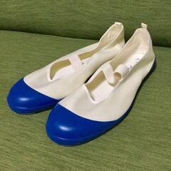 上履き 30cm ブルー 青