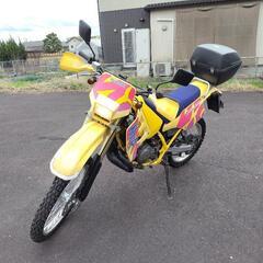 SUZUKI スズキ/TS125Rの画像