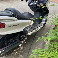 ヤマハマジェスティ250ccの画像