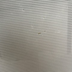 椅子　大泉学園駅の近くに引き取り限定の画像