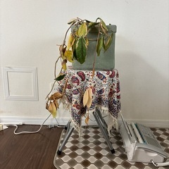 椅子と鉢植えの画像