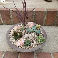 植物寄せ植えの画像