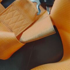 ZSS 4点式 レーシングハーネスの画像