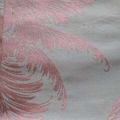 帯の画像