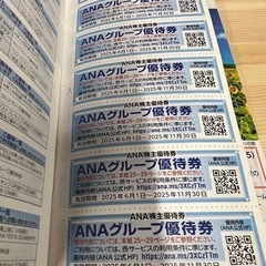 ANAグループ優待券の画像