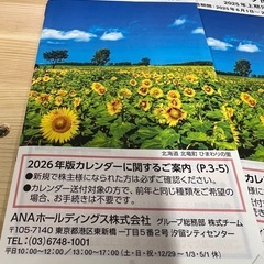 ANAグループ優待券の画像