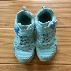 瞬足　19.0cmの画像