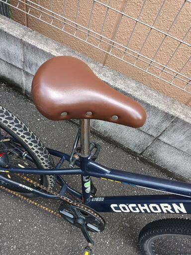 ☆昨日まで普通に乗っていました☆22インチキッズ自転車 (いけ
