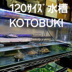 決まりました20日(日)11時