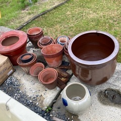 鉢 かめ？多数の画像