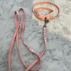 ▼値下げ▼リードセット 2個 ピンク 店頭販売 南区花畑の画像