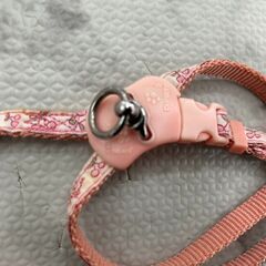 ▼値下げ▼リードセット 2個 ピンク 店頭販売 南区花畑の画像