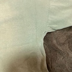 RVCAメンズTシャツの画像