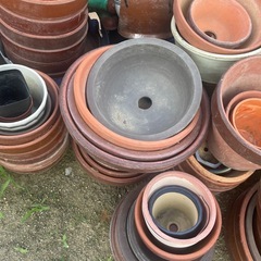 植木鉢
の画像