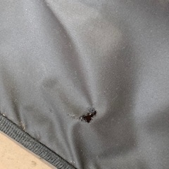 美原店 インステップ クイックイン ライト　バイクトレーラーの画像