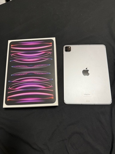 iPad Pro 11インチ256GB