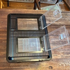 飼育ケース特大（43長さ x 35幅 x 27高さ cm）昆虫・カメ他　プラスティック　窓二つの画像