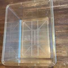 飼育ケース特大（43長さ x 35幅 x 27高さ cm）昆虫・カメ他　プラスティック　窓二つの画像