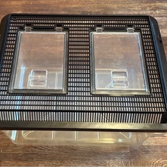 飼育ケース特大（43長さ x 35幅 x 27高さ cm）昆虫・カメ他　プラスティック　窓二つの画像