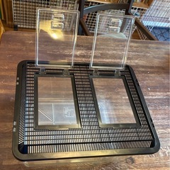 飼育ケース特大（43長さ x 35幅 x 27高さ cm）昆虫・カメ他　プラスティック　窓二つの画像