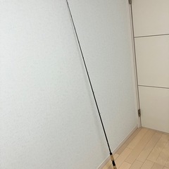 釣竿　ロッド  フェンウィック fenwick  テクナ　Techna AV チタニウム の画像