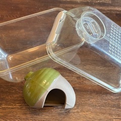ハムスター🐹用、砂浴びケース　& どんぐりハウスです。の画像