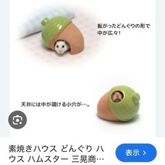 ハムスター🐹用、砂浴びケース　& どんぐりハウスです。の画像