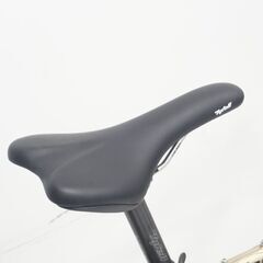 TYRELL 「タイレル」 FCX 2025年モデル 20インチ 折り畳み自転車の画像