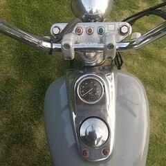 マグナの画像