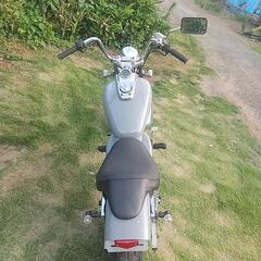 マグナの画像