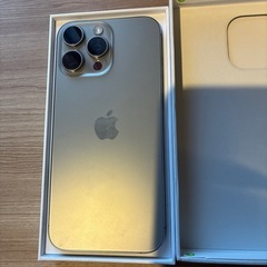 太*島様 iPhone13Pro 256GB グラファイト iPhone 13 Pro 256GB グラファイトSIMフリー（本体のみ